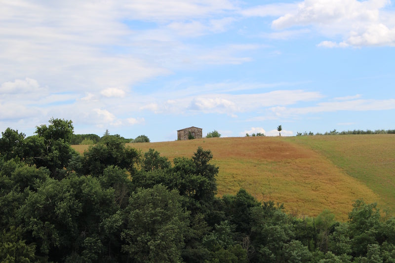 toscana