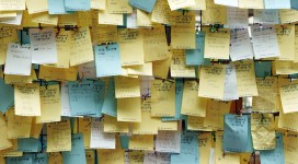 dilemma dell'espatriata