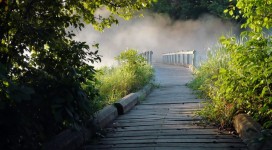 separazione dal paese d'origine