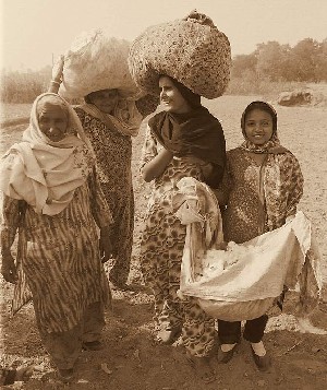 cucina araba