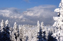 laurarossipanorama2