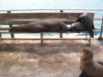 ...that leaves no doubt about who is the owner of the territory!