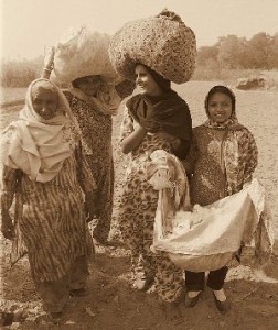 Women working in the cotton fields