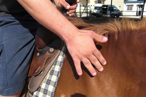 équitation thérapeutique en Israël