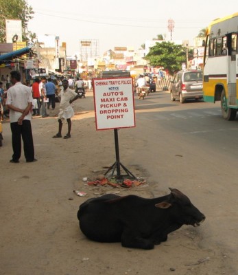 chennai