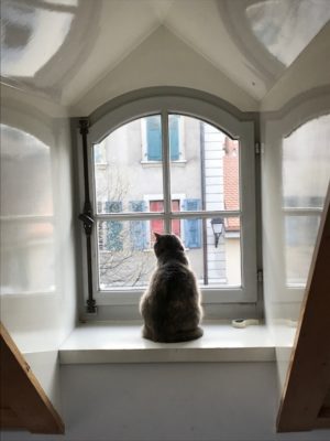 nuova destinazione in espatrio