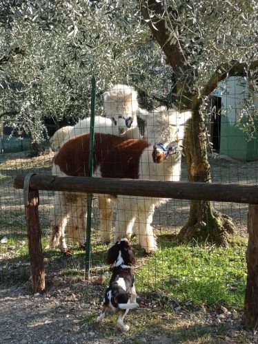 biografia del gusto