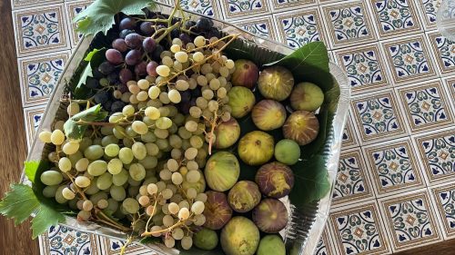 biografia del gusto
