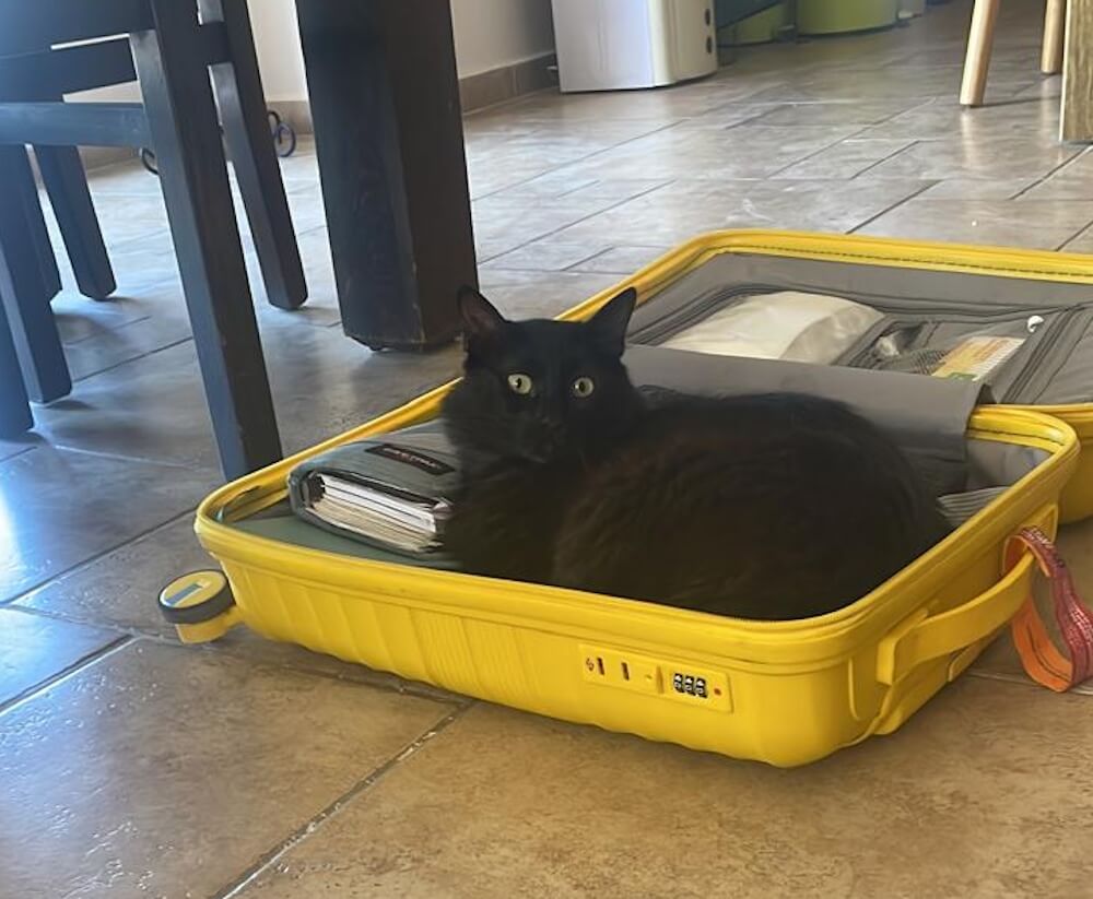 lettera-diario palestina